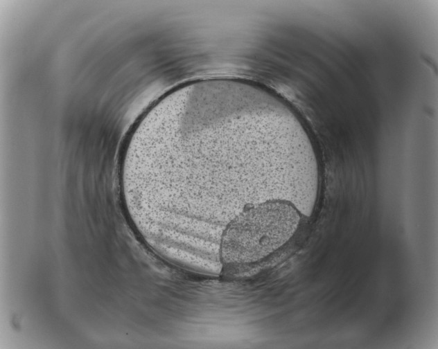 X0000103161469200809121827