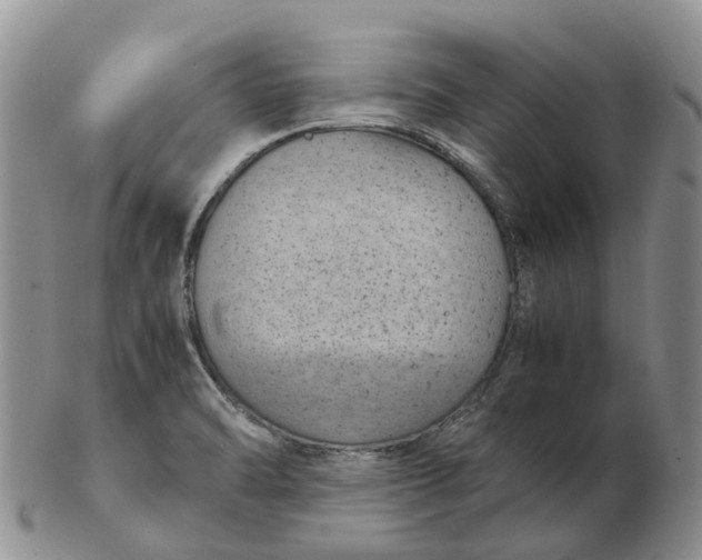 X0000103161470200809121827