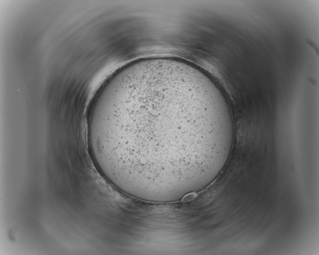 X0000103161472200809121827