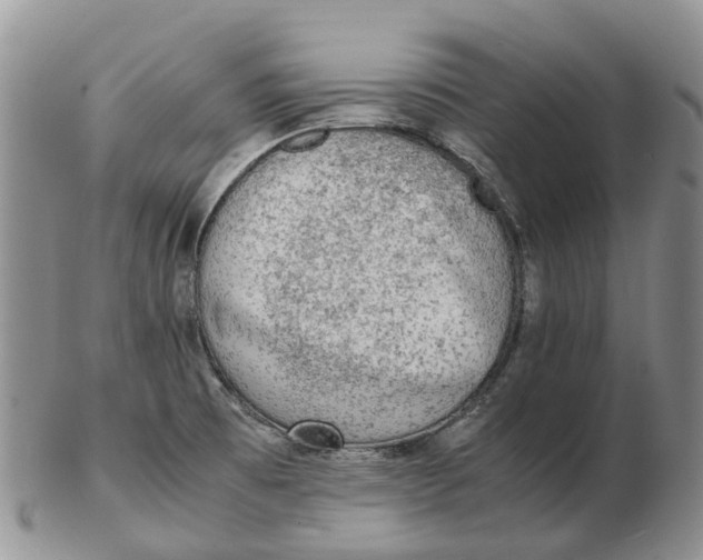 X0000103161473200809121827