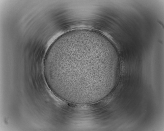 X0000103161474200809121827