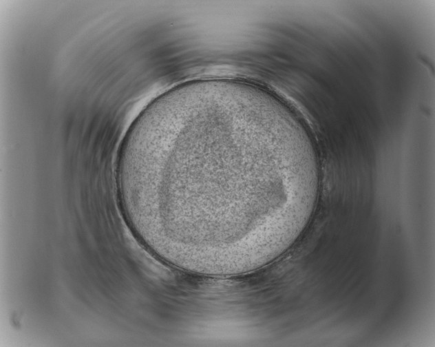 X0000103161475200809121827