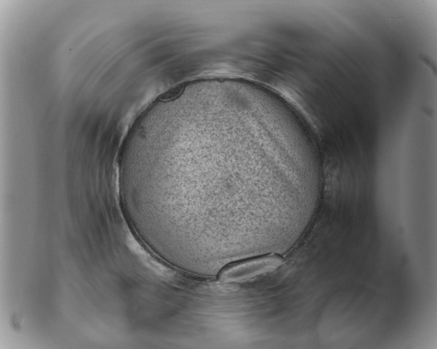 X0000103161476200809121827