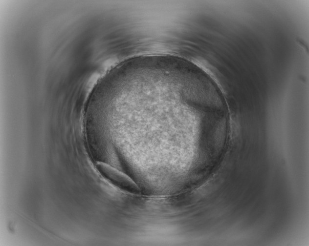 X0000103161477200809121827