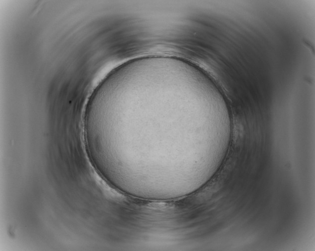 X0000103161478200809121827