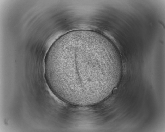 X0000103161479200809121827