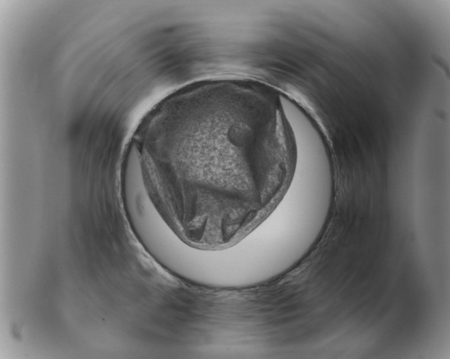 X0000103161480200809121827