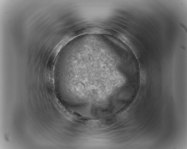 X0000103161481200809121827