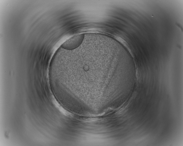 X0000103161482200809121827