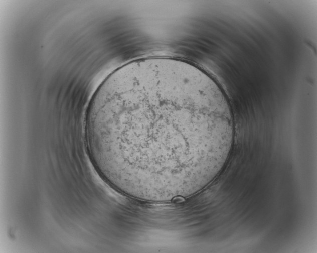 X0000103161483200809121827