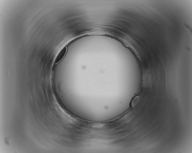 X0000103161484200809121827