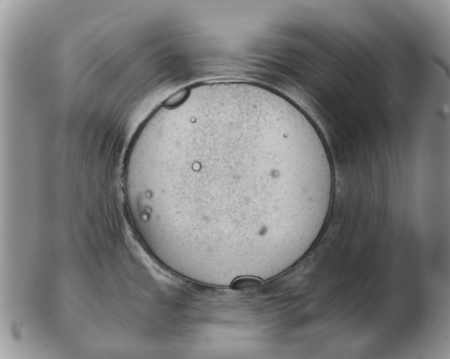 X0000103161485200809121827