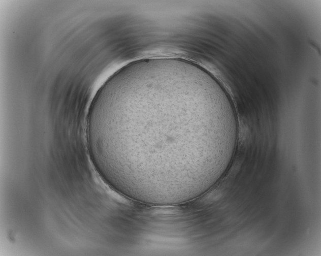 X0000103161486200809121827