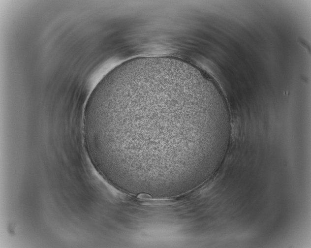 X0000103161487200809121827