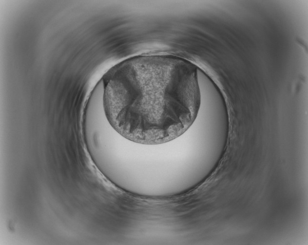 X0000103161488200809121827