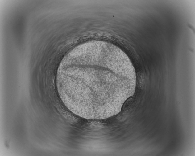 X0000103161489200809121826