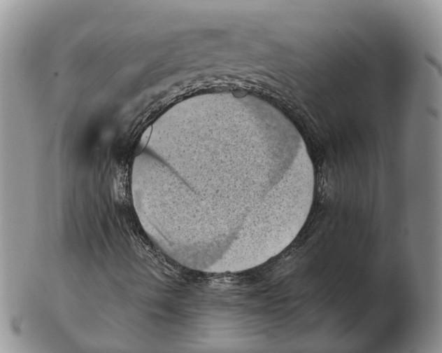 X0000103161490200809121826