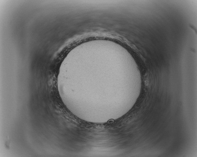 X0000103161495200809121826