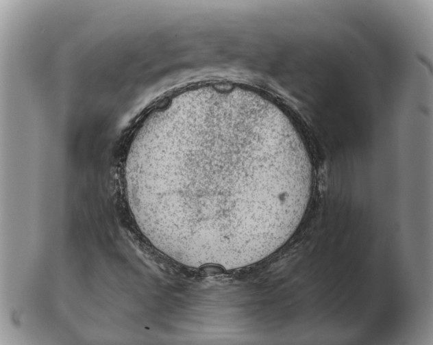 X0000103161496200809121826