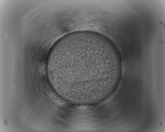 X0000103161497200809121827