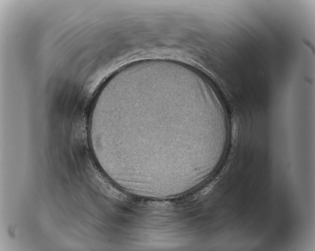 X0000103161498200809121827