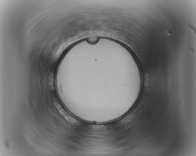 X0000103161499200809121827