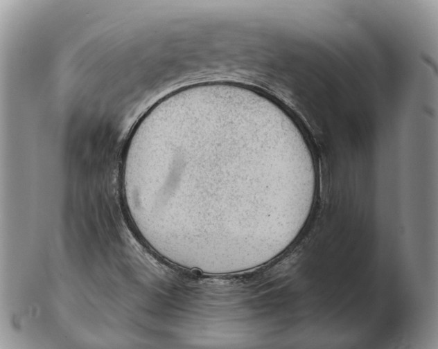 X0000103161500200809121827