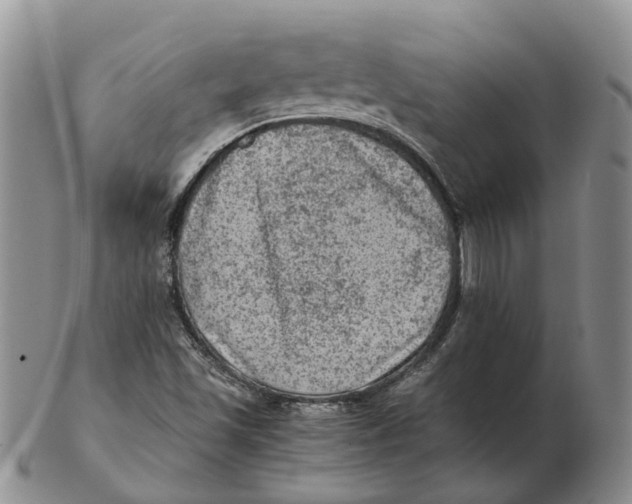 X0000103161501200809121827