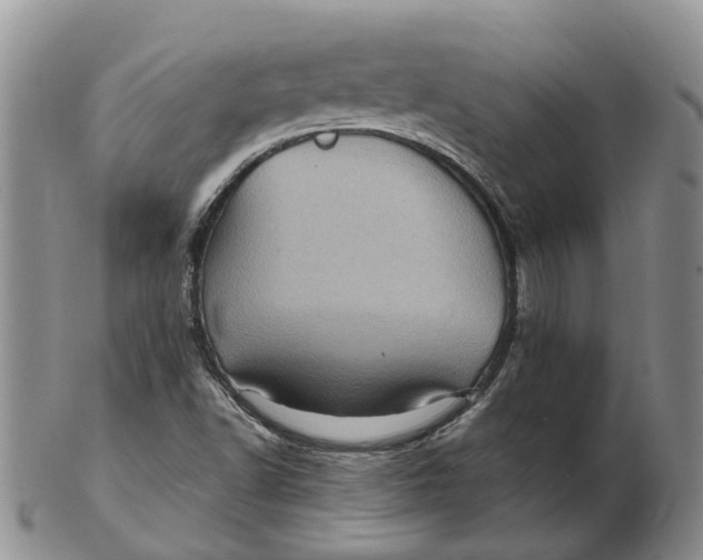 X0000103161502200809121827