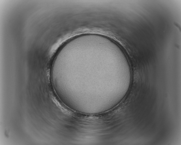 X0000103161503200809121827