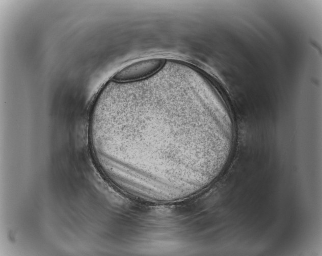 X0000103161504200809121827