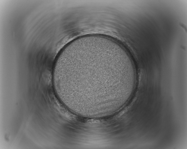 X0000103161505200809121827