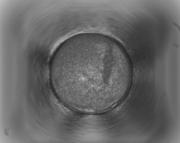 X0000103161506200809121827