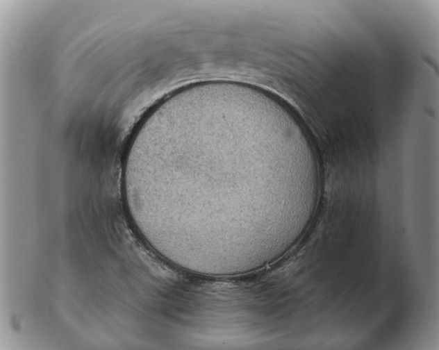 X0000103161507200809121827