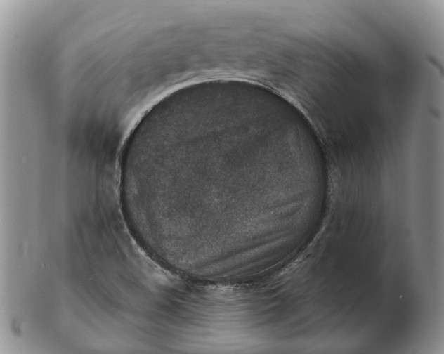 X0000103161508200809121827