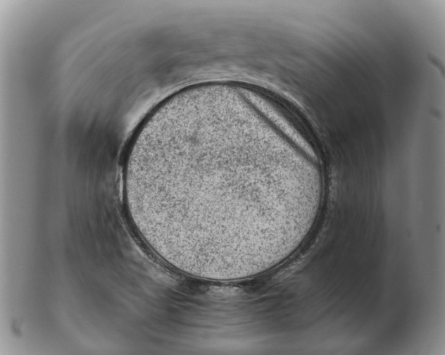 X0000103161509200809121827