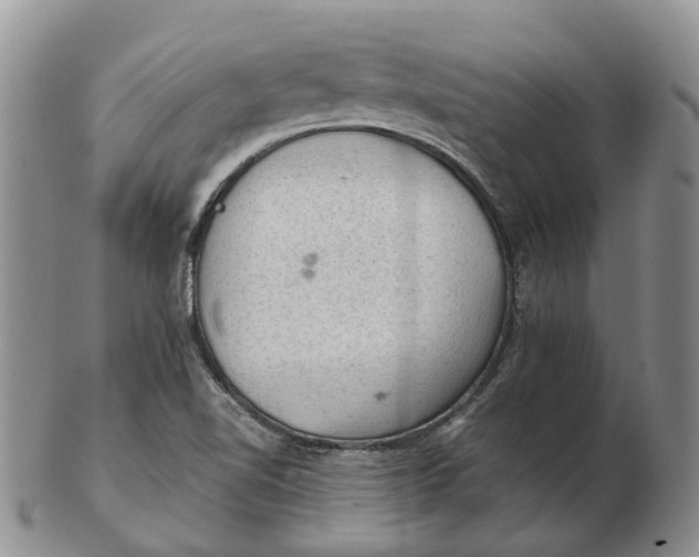 X0000103161510200809121827