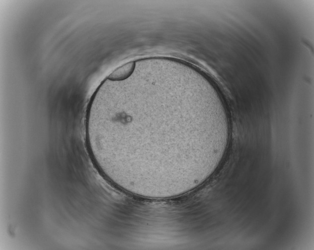 X0000103161512200809121827