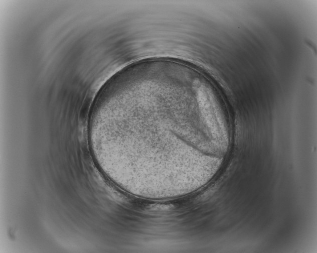 X0000103161513200809121827