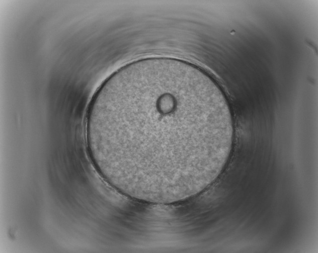 X0000103161514200809121827