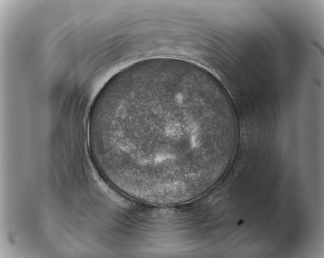 X0000103161515200809121827