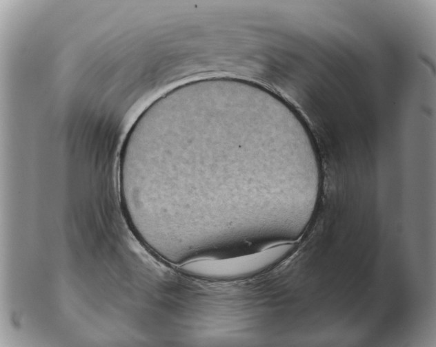 X0000103161516200809121827