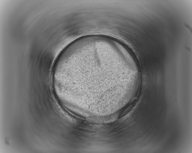 X0000103161517200809121827