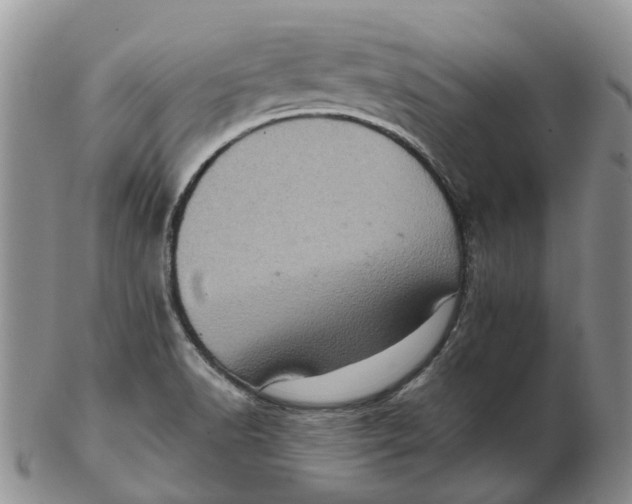 X0000103161518200809121827