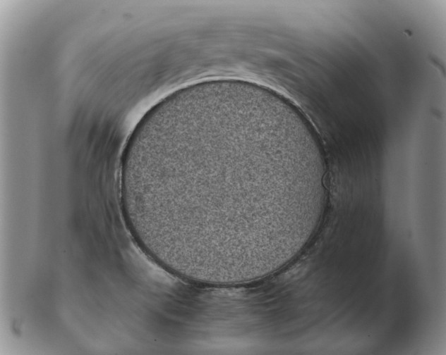 X0000103161519200809121827