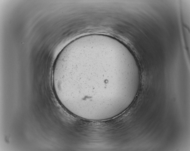 X0000103161520200809121827