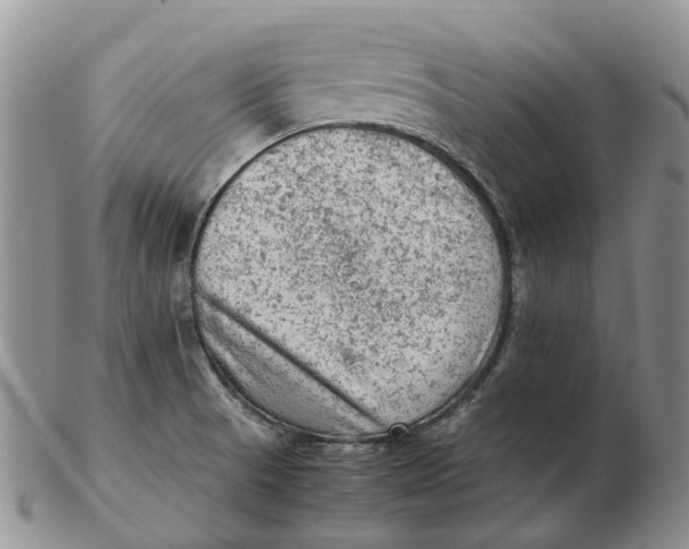 X0000103161521200809121827