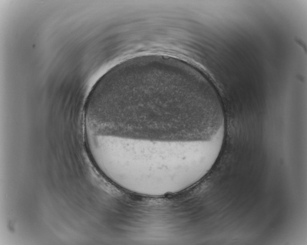 X0000103161522200809121827