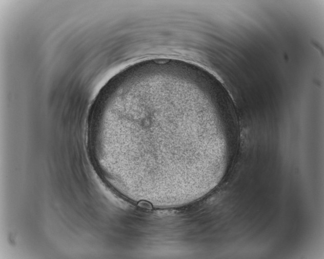 X0000103161523200809121827