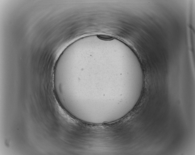 X0000103161524200809121827